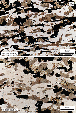 Fig. 7 Representative petrography of the MZ gabbros (samples 458251, 953 m and 458250, 935 m). Shown are macrophotographs of typical gabbros. Abbreviations in Fig. 5. Scale bars are 2 mm.