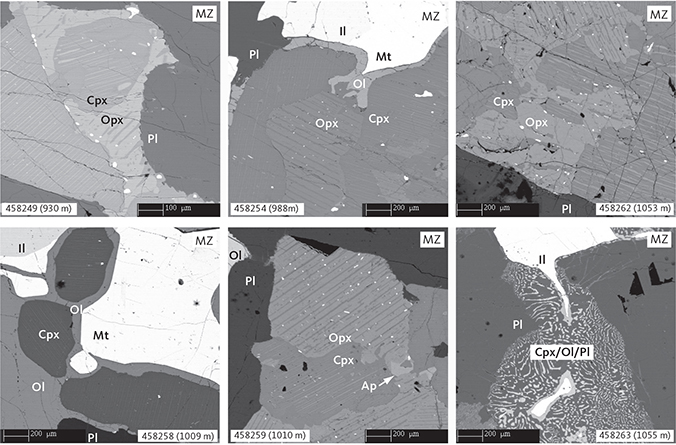 Fig. 8 Representative pyroxene intergrowths and late crystallising mineralogy and textures in the MZ gabbros illustrated by BSE images. Samples shown in order of appearance: 458249 (930 m), 458254 (988 m), 458262 (1053 m), 458258 (1009 m), 458259 (1010 m) and 458263 (1055 m). Abbreviations in Figs 5, 6. The pyroxene intergrowth and lamellae are indicated by the grey shading of the images. Scale bars are 200 mm or 100 mm, as shown.