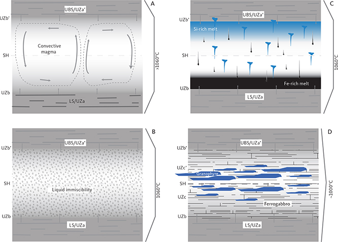 Fig. 65 Schematic illustration of the proposed late history of the terminal Skaergaard magma chamber (UZb and UZc). A: UZa convecting chamber at just above 1060°C and a melt fraction of 0.10, sandwiched between the upward-moving UZa of the LS and the downward-moving UZa’ of the UBS. B: Onset of liquid immiscibility when the temperature reaches 1060°C by the formation of basaltic iron-rich droplets in a homogeneous silicic melt, effectively terminating chamber convection. C: Separation of the two cognate melts with the Si-rich melt preferentially migrating upward and the Fe-rich melt droplets migrating downward (or remaining stationery). This results in an effectively zoned residual chamber with the Fe-rich melt component concentrated principally at the base and the Si-rich melt concentrated at the top under the UZa’. Immiscibility is subsequently terminated by the melt separation and the drop in temperature to unknown values. D: Final crystallisation products at solidus temperatures (c. 1000°C and F = 0) are made up of a ferrodiorite (andesine, olivine and pyroxene) with granophyre (albite, orthoclase, and quartz) dispersed dominantly in the UZc and UZc’ from a microscopic interstitial to macroscopic lenses and sill scales. The granophyre component dominates the UBS. Part of the UBS is thought to have been intruded into the surrounding host rocks. Illustrations are not to scale.