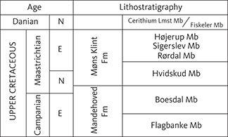 Fig. 5 Stratigraphic division of the uppermost Cretaceous and lowermost Danian in eastern Denmark (after Surlyk et al. 2006, 2013).