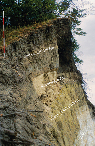 Fig. 9 Red-brown clayey till of the Ristinge Klint Till Formation at Store Stejlebjerg, Møns Klint. The formation rests unconformably on top of the Cretaceous chalk of the Møns Klint Formation. Fine-grained lithologies of the Kobbelgård Formation overlie the Ristinge Klint Till Formation. At the top, clayey till of the Mid Danish Till Formation is present. For scale, the units on the ranging pole are 20 cm wide.