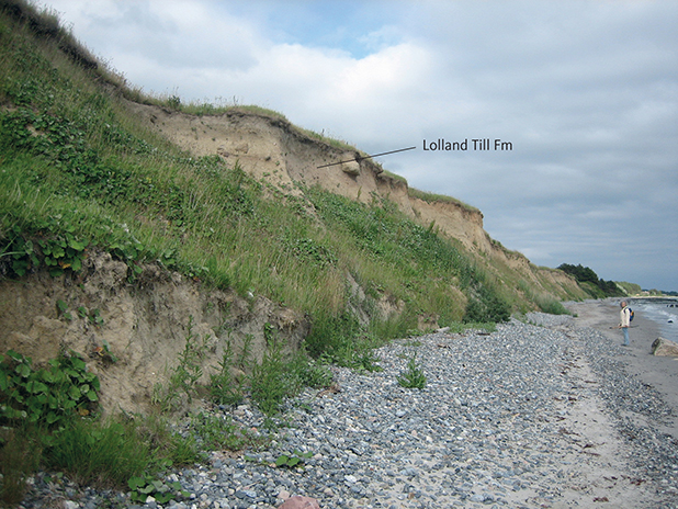 Fig. 18 Greyish brown clayey till of the Lolland Till Formation in the uppermost part of the cliff at Kraneled, Klintholm.