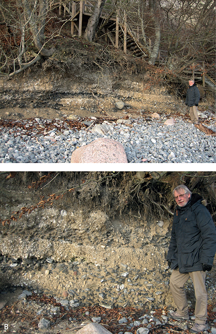 Fig. 24 Generations of Holocene beach ridges at Gråryg close to Møns Klint. A: Overview of the locality with recent beach deposits. B: Details of the oldest beach ridges.