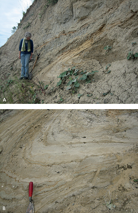 Fig. 29 Folds at Hvideklint. A: Overturned syncline in sheet HK3 with an E–W-oriented fold axis. The light glaciofluvial sand of the Stubberup Have Formation is folded into the darker clay of the Kobbelgård Formation. B: The nose of the overturned syncline includes alternating layers of clay, silt and sand.