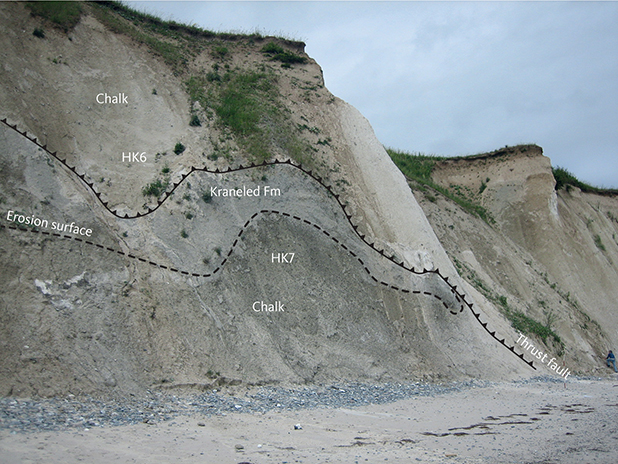 Fig. 30 Thrust fault at Hvideklint separating sheets HK6 and HK7 with an isoclinally folded syncline consisting of Kraneled Formation clay. The thrust fault can be traced throughout the photo.