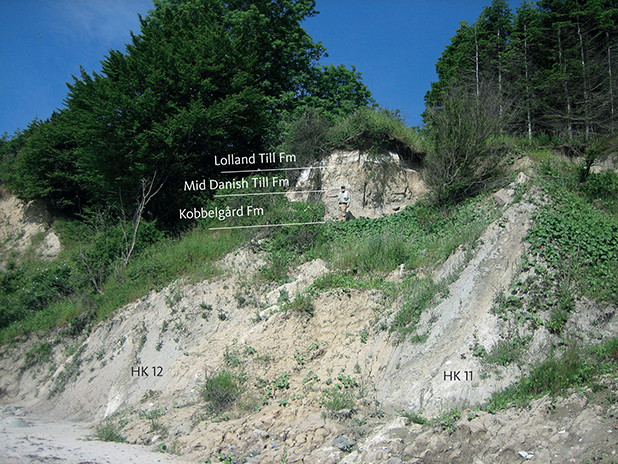 Fig. 35 The steeply dipping chalk sheets HK11 and HK12 at Hvideklint, truncated by the almost horizontally deposited Lolland Till Formation including a lens of chalk-glacitectonite. Person for scale in centre of photo.