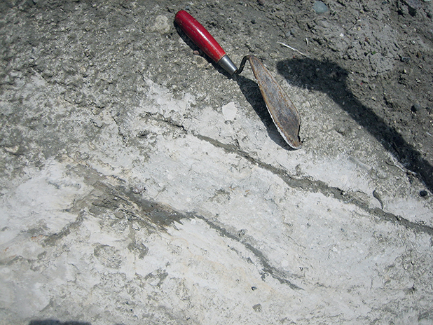 Fig. 38 Brecciated clasts of chalk in mud along the sole of the thrust faults at Hvideklint. The large mud content in the Kraneled and Kobbelgård Formations commonly blurs exposures of the south-western part of the cliff.