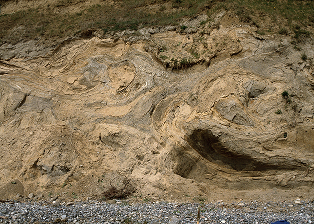 Fig. 39 Mud diapirism at Hvideklint formed during glacial tectonic deformation of water-saturated clay deposits. The exposure is almost 2 m high. Photo: Tove Stockmarr (1996).
