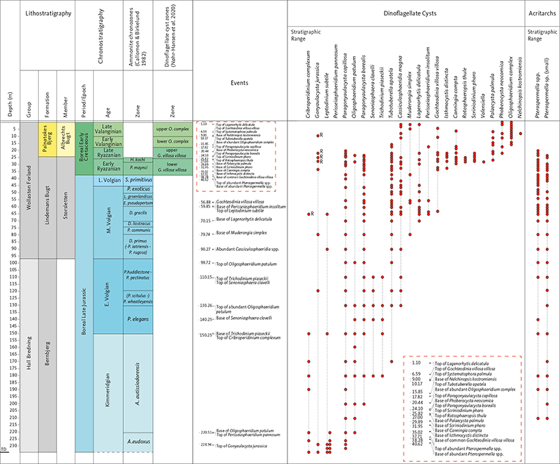 Fig. 7 The ranges of key dinoflagellate cyst taxa in the Rødryggen-1 core. The dinoflagellate cyst species are stratigraphically arranged according to the succession of their lowest occurrences. A range chart showing all taxa recorded in the core is available in Supplementary Data File 1.