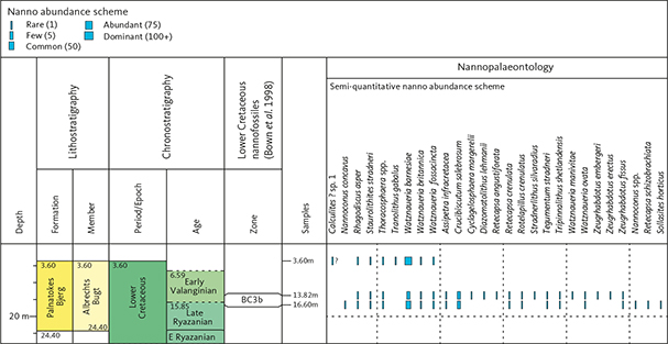 Fig. 8 The distribution of calcareous nannofossils in the Rødryggen-1 core.