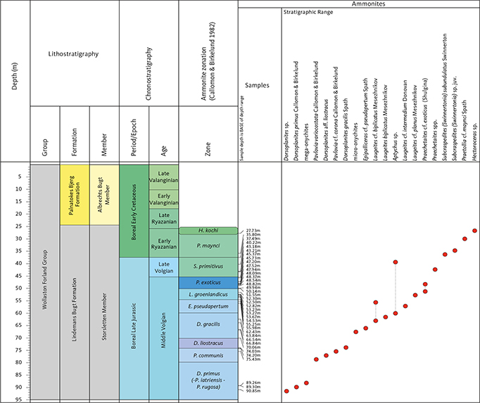 Fig. 9 The ranges of ammonite taxa recorded in the Rødryggen-1 core.