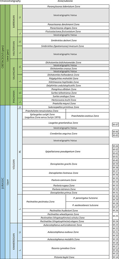 Fig. 14 Kimmeridgian – Barremian ammonite zonation for North-East Greenland. M 14 to M 47 are faunal horizons recorded in Milne Land by Callomon & Birkelund (1982). L.: lower. M.: middle. U.: upper.