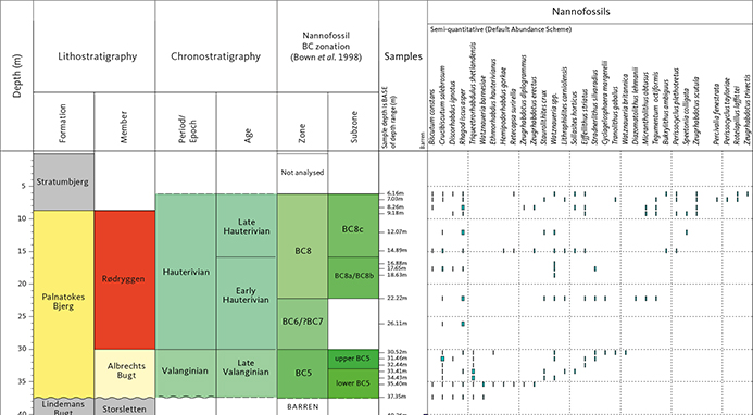 Fig. 17 The distribution of calcareous nannofossils in the Brorson Halvø-1 core.