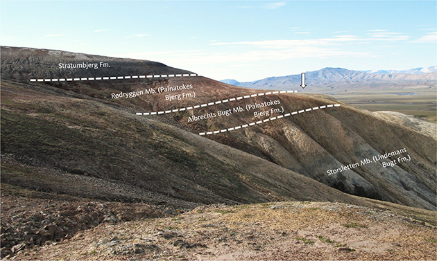 Fig. 3 Section at Rødryggen viewed approximately from the north in 2008 when the drill-site was selected. Arrow indicates the approximate position of the borehole (Photo: Jørgen A. Bojesen-Koefoed).