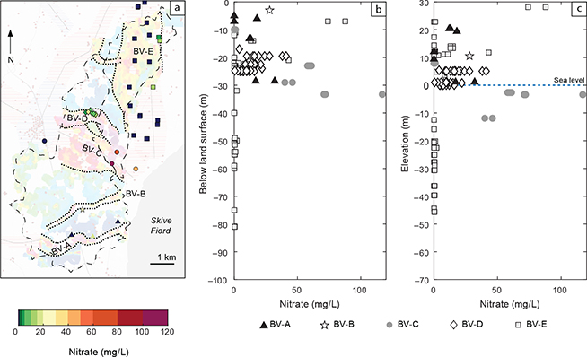 Fig 4 Nitrate concentration in groundwater. On the map (a), the average of all existing data of each borehole is shown in colour. Nitrate concentrations of groundwater are shown as a function of sampling depth (b) and elevation (c).