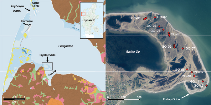 Fig. 1 Overview of the study area. Left: map of Gjellerodde in relation to the opening to the North Sea at Thyborøn Kanal. Right: aerial photograph of Gjellerodde overlain with the digital elevation model (DEM) hillshade map. Sampling site locations are marked in red, alongside the sample name. The coastal barrier through which the Thyborøn Kanal flows, consists of Harboøre Tange and Agger Tange; collectively known as Limfjordstangerne.
