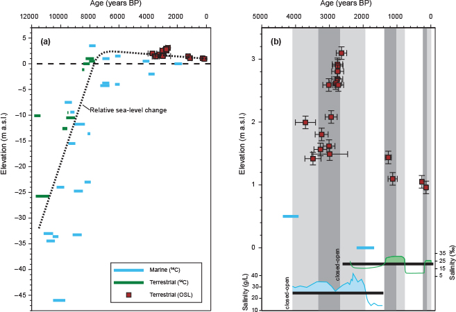 Fig. 5 Comparison of OSL ages from this study with previously published radiocarbon histories and palaeo-salinity data. a: Holocene RSL curve (dashed curve) for Limfjorden based on radiocarbon-dated samples (Bennike et al. 2019; Jessen et al. 2019) and OSL ages (this study) vs. elevation (m). All ages are in years BP (i.e. before 1950). Error bars are one standard error. Marine and terrestrial 14C ages are shown in blue and green, respectively. b: The same OSL ages are shown alongside palaeo-salinity data for the Limfjord (Kristensen et al. 1995; Lewis et al. 2013). High salinity indicates an open connection towards the North Sea (Kristensen et al. 1995; Lewis et al. 2013). Dark grey shading indicates periods when the connection between the Limfjord and the North Sea was open according to the OSL ages (this study) and the light grey shading indicates open periods according to salinity concentrations (Kristensen et al. 1995; Lewis et al. 2013).