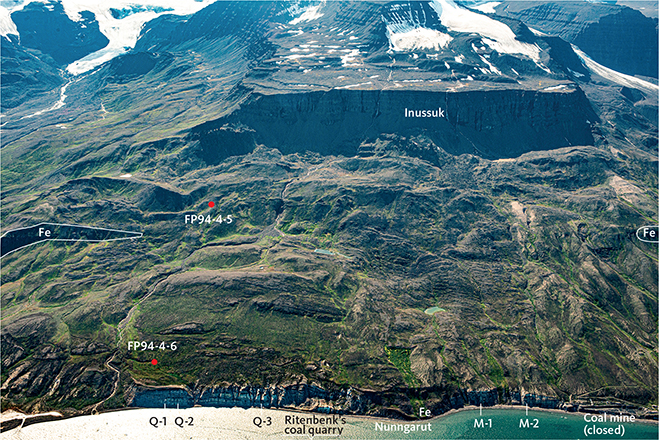 Click to Enlarge View Fig. 2 Oblique aerial photograph of the coastal area of Disko between the closed coal mine (at right) and Qullissaaqqat (immediately left of the picture). Ritenbenk’s old coal quarry is clearly seen from the air; seen on the ground it is inconspicuous. The positions of boreholes FP94-4-5 and FP94-4-6 and coastal sections Q-1, Q-2, Q3, M-1 and M-2 are indicated. Exposures of the Nunngarut igneous body (Fe) in situ are annotated with white lines to the right and left; a third exposure is seen in a landslide at the coast at Nunngarut. The height of the coastal cliffs is around 50 m, and the height of the plateau top of the Inussuk mountain is around 900 m. Note the tumbled and landslipped surface and lack of exposures between Inussuk and the coastal cliffs. Compare Fig. 3. Photo: Kristian Svennevig 2019.
