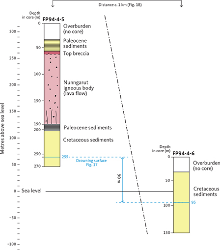 Click to Enlarge View Fig. 7 Simplified overview logs of the investigated cores FP94-4-5 and FP94-4-6 showing their position relative to sea level (scale at left). Downhole depths are shown along each core. Correlation of the Cretaceous sediments in the two cores is based on their sedimentological logs (see below). A characteristic correlatable drowning surface is shown in blue. The surface is situated c. 60 m above sea level in core FP94-4-5 and c. 30 m below sea level in core FP94-4-6, indicating a vertical displacement between the drill sites of c. 90 m along a fault. The fault is schematically indicated on the drawing; its precise position and orientation are uncertain.