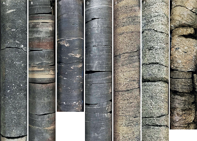 Click to Enlarge View Fig. 14 Photographs of the Eqalulik and Atanikerluk Formation sediments in the cores. A–D: Eqalulik Formation; E–G: Atanikerluk Formation; all from core FP94-4-5, diameters 36 mm. A: Structureless sandstone with very small mudstone clasts in a mudstone matrix. Lower part of the Eqalulik Formation, depth c. 201.60–201.45 m. B: Dark grey mudstone with sharp-based streaks and thin layers of pale, very fine-grained sand and coarse silt. The thickest layers (3–7 mm) are faintly graded. Red-brown colour is due to cementation. Depth c. 200.55–200.40 m. C: Mudstone facies characterised by thin layers of angular, light grey grains in a mudstone matrix, interpreted as deposited from thin mudflows with sufficient matrix strength to transport the sand- to granule-sized grains. Depth c. 198.95–198.80 m. Note the sharp boundary to homogeneous mudstone at c. 198.85 m. D: Grey, silt-streaked mudstone, marine deep-water deposit, upper part of the Eqalulik Formation, depth c. 191.95–191.80 m. E: Cross-bedded, grey sandstone with tiny mudstone clasts. Atanikerluk Formation, depth c. 48.08–47.95 m. F: Cross-bedded, dark grey sandstone with numerous tiny mudstone clasts, depth c. 46.45–46.30 m. G: Angular and rounded, moderately sorted clasts in a matrix od sand and mud, interpreted as colluvial deposits. Depth c. 36.90–36.75 m.