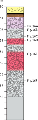 Click to Enlarge View Fig. 15 Detailed log of the brecciated top zone of the Nunngarut igneous body and the overlying sediments. The positions of the photographs in Fig. 16 are indicated.
