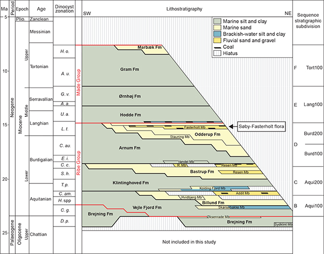 Fig. 1 Lithostratigraphic framework of the uppermost Oligocene–Miocene onshore Denmark (modified from Rasmussen et al. 2010). Plio.: Pliocene. R. Mb: Resen Mb. H. o.: Hystrichosphaeropsis obscura. A.u.: Amiculosphaera umbracula. G. v.: Gramocysta verricula. A. a.: Achomosphaera andalousiense. U. a.: Unipontidinium aquaeductum. L. t.: Labyrinthodinium truncatum. C. au.: Cousteaudinium aubryae. E. i.: Exochosphaeridium insigne. C. c.: Cordosphaeridium cantharellus. S. h.: Sumatradinium hamulatum. T. p.: Thalassiphora pelagica. C. am.: Caligodinium amiculum. H. spp.: Homotryblium spp. C. g.: Chiropteridium galea. D. p.: Deflandrea phosphoritica.