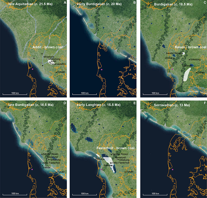 Fig. 3 Palaeogeography of the study area during the late Aquitanian (A), early (B), mid (C) and late Burdigalian (D), early Langhian (E) and Serravallian (F). White shading indicates areas where brown coal deposits were reported (after Grambo-Rasmussen (1984) and Rasmussen et al. (2010)). Purple dot: Sdr. Vium core. Location of place names mentioned in the text is shown as black dots (cities) and white dots (localities). Yellow lines show the coastline today.