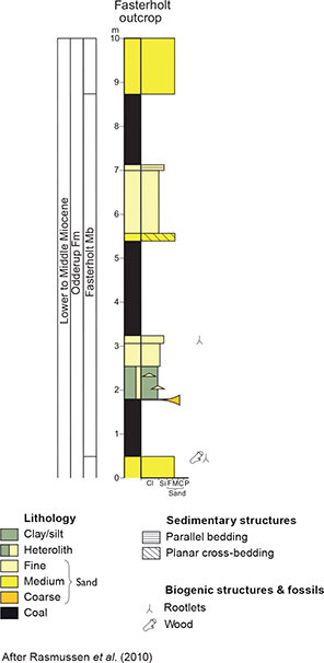 Fig. 5 The type section of the Fasterholt Member is the Fasterholt Brown Coal Pit, northwest of Brande; this section is no longer exposed. The log is redrawn from Koch (1989) and Rasmussen et al. (2010). Cl: clay. Si: silt. F: fine sand. M: medium sand. C: coarse sand. P: pebbles.