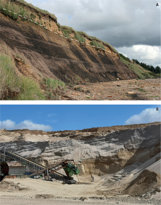 Fig. 16 (A): The best outcrop section of the Klintinghoved Formation is at Hostrup, north-west Jylland, where a 7 m thick section of mica-rich mud is exposed along a 100 m long coastal cliff. Height of the cliff is 6 m; dashed white line indicates the boundary between the Klintinghoved Formation and Quaternary sediments. (B): The Bastrup Formation crops out at Tandskov north of Silkeborg where fluvial sand and gravel forms an approximately 10 m high section; dashed white line indicates the boundary between the Bastrup Formation and Quaternary sediments.
