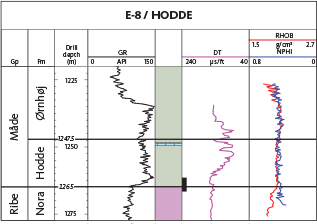 Fig. 27 The North Sea reference well for the Hodde Formation is the E-8 well from 1265 to 1247.5 m MD. The location of the lower boundary in the core is shown in Fig. 24. For legend, see Fig. 14.