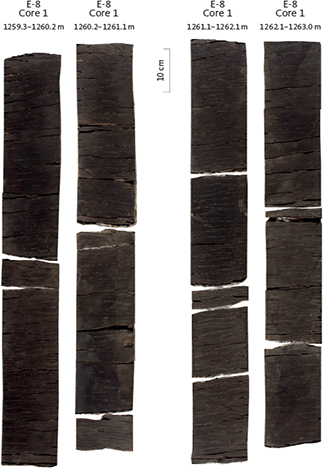 Fig. 29 Slabbed core section of the Hodde Formation from the E-8 well (Fig. 28). Note that the formation is totally bioturbated.