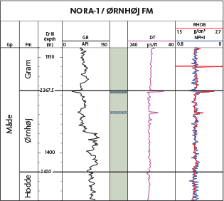 Fig. 31 The reference well in the North Sea for the Ørnhøj Formation is the Nora-1 well from 1410 to 1367.5 m MD. For legend, see Fig. 14.