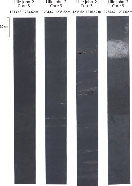 Fig. 34 Slabbed core section of the Gram Formation in the Lille John-2 well. The grey interval in the upper part of the cored section (to the right) is a carbonate concretion. The location of the illustrated core interval is indicated in Fig. 33A as a black bar.