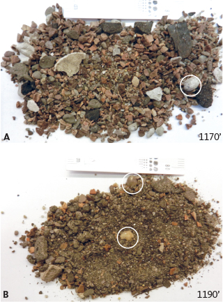 Fig. 38 Ditch cuttings samples from the Luna Formation in the Luna-1 well. Note that gravel is relatively common (encircled clasts). (A): Depth 1170 ft/357 m). (B): Depth 1190 ft/363 m).