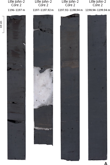 Fig. 40 Core images of the upper silt–sand interval of the Lille John Member in the Lille John-2 well. Note the sharp lower boundary of the beds (top Gram Formation, 1198.37 m) and the trace fossil Scolicia (SC) in the upper part of discrete beds. Slabbed core under normal light (A) and UV light (B).
