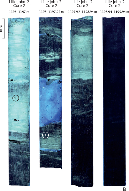 Fig. 40 Core images of the upper silt–sand interval of the Lille John Member in the Lille John-2 well. Note the sharp lower boundary of the beds (top Gram Formation, 1198.37 m) and the trace fossil Scolicia (SC) in the upper part of discrete beds. Slabbed core under normal light (A) and UV light (B).