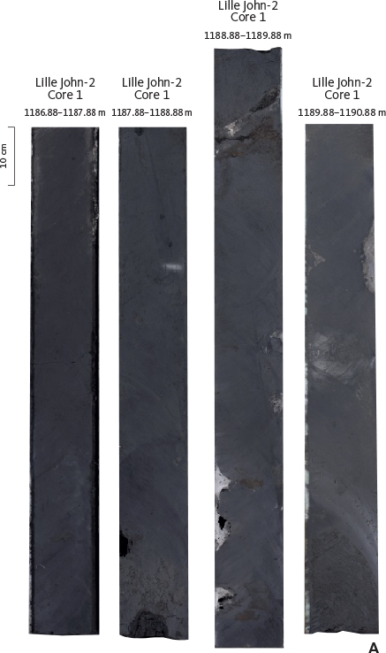 Fig. 43 Core image of the lower part of the Vagn Formation in the Lille John-2 well. Slabbed core under normal light (A) and UV light (B). Note the sharp boundary (arrow) between the Miocene Gram Formation and the Pliocene Vagn Formation on the UV processed image; the boundary between the Gram Formation and the underlying Lula Formation (Lille John Member) is at 1188.15 m. The full extent of the cored section is shown in Fig. 36B.