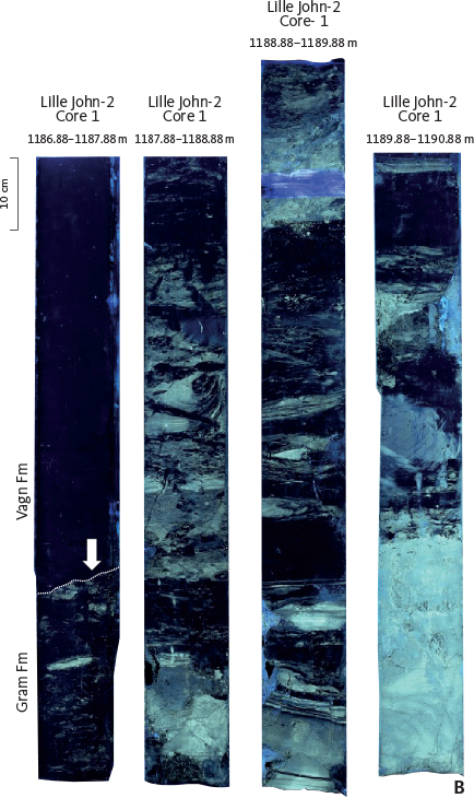 Fig. 43 Core image of the lower part of the Vagn Formation in the Lille John-2 well. Slabbed core under normal light (A) and UV light (B). Note the sharp boundary (arrow) between the Miocene Gram Formation and the Pliocene Vagn Formation on the UV processed image; the boundary between the Gram Formation and the underlying Lula Formation (Lille John Member) is at 1188.15 m. The full extent of the cored section is shown in Fig. 36B.