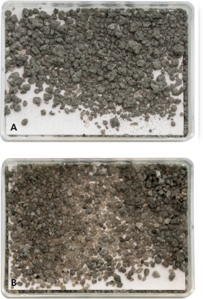 Fig. 46 Cuttings sample of sand from the Emma Formation in the Vagn-2 well: (A) 558 m MD. (B): 567 m MD. Shell fragments are common in the more fine-grained part (B).