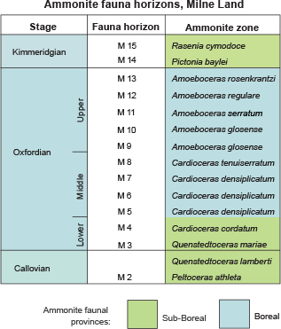 Fig. 3 Ammonite faunal horizons on Milne Land correlated with ammonite zones (Callomon & Birkelund 1980; Birkelund & Callomon 1985). Shading indicates the faunal province affiliations.