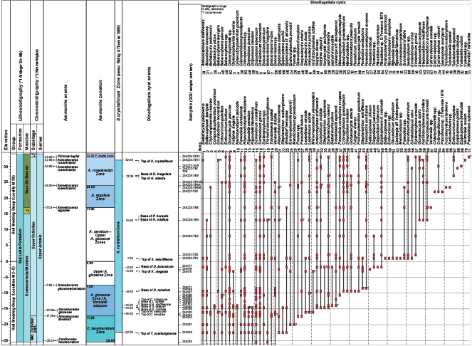 Fig. 5 Dinoflagellate cyst range-chart based on data from a composite succession of Kosmocerasdal Member to Bays Elv Member, Kap Leslie Formation. The range-chart is combined from successions at localities 2–5 and 39. To fit to the page, the composite succession of Kosmocerasdal Member is reduced 4 times in thickness and arranged from 0 to –25 m. The succession from locality 39 is shown to scale and spans 34 m from the basis of Kosmocerasdal Member to the top of Bays Elv Member. Abbreviations: Mid.: middle. *1: Aldinger Elv Mb. *2: Kimmeridgian. Dinoflagellate cyst names in Figs 5–7.