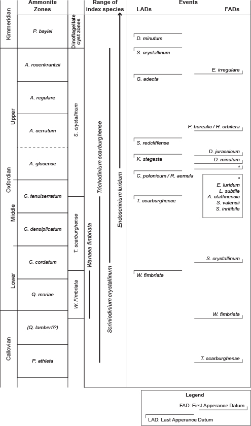 Fig. 8 Schematic correlation of the Oxfordian ammonite zones, dinoflagellate cyst zones and events on Milne Land, East Greenland.