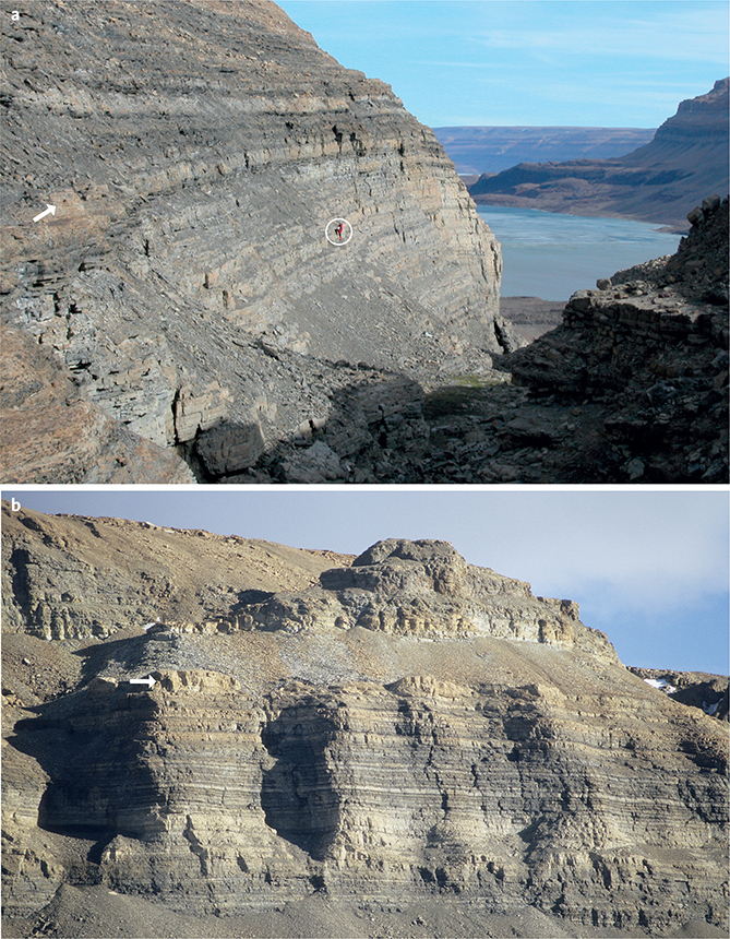 Fig. 5 Slusen Formation. a: View of the lower Slusen Formation at the type section above the western shores of the Øvre Midsommersø lake. Stacked pale weathering grainstone-dominated cycles at the base of the formation are succeeded by darker mid-ramp and outer ramp facies (above encircled figure); a microfauna with late Ediacaran affinities was obtained from samples taken laterally from the arrowed horizon. b: The Slusen Formation about a kilometre west of the type section showing the development of thrombolitic microbial mounds at a discrete horizon (arrowed) in the middle of the formation.