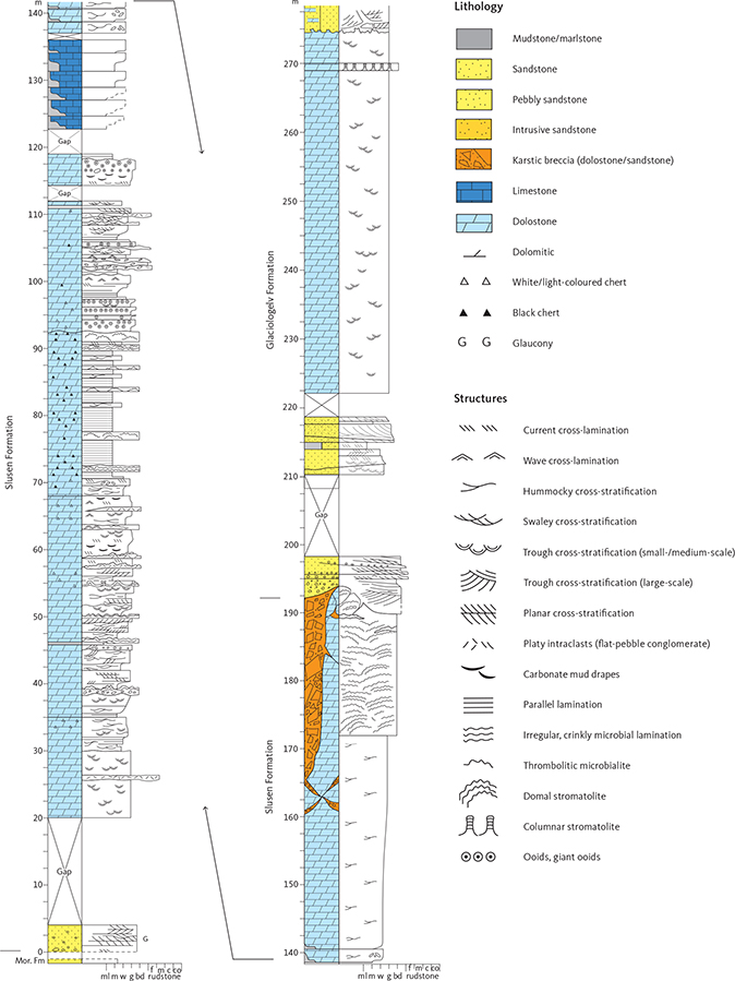 Fig. 6 Type section of the Slusen Formation and reference section of the Glaciologelv Formation, western Øvre Midsommersø (Fig. 1b, locality 1). The Slusen Formation mounds illustrated in Fig. 5b occur laterally to the type section at the 117 m level; due to access difficulties, the succeeding cyclic interval (123–136 m) was estimated from photographs. Details of the primary cyclicity in the upper 50 m of the Slusen Formation are obscured by intense karst-related fracturing and brecciation. The Glaciologelv Formation reference section illustrates the fluvial sandstones at the base of the formation, draping the top-Slusen Formation karst surface. Mor: Morænesø. Lithology/grain-size abbreviations: ml: marlstone. m: lime mudstone. w: wackestone. g: grainstone. bd: boundstone. Rudstone subdivisions: f: fine. m: medium. c: coarse. co: cobble. The accompanying legend is applicable to Figs 8 and 12.