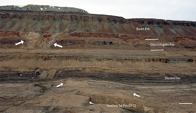 Fig. 7 Portfjeld Group on the northern side of the Nedre Midsommersø lake, approximately 1 km west of the Slusen Formation reference section and the Glaciologelv Formation type section. At this locality, the basal unconformity is markedly irregular, the lower Slusen Formation onlapping prominent knolls of weathered Proterozoic sandstone (small arrows). The upper Glaciologelv Formation is disrupted by a wide doline (large arrows) infilled with basal Buen Formation sandstone. IFG: Independence Fjord Group.