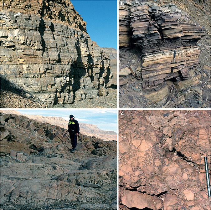 Fig. 10 Upper Slusen Formation, representative lithologies from the type area, Øvre Midsommersø. a: Marlstone – limestone/dolostone cycles equivalent to the 123–140 m interval in the type section (Fig. 6); photograph about 4 km west of the type section, the cycles are 2–3 m thick. The weathering change from pale grey (limestone) to orange (dolostone) at the top of the image (arrowed) marks the dolomite front. b: Close-up of the marlstone – limestone/dolostone cyclic facies; the thin, lenticular carbonate beds (e.g. at the hammer) commonly display hummocky cross-stratification. c: Mesoscale domal stromatolites characterise the upper levels of the Slusen Formation (172–194 m in the type section (Fig. 6) and 141–167 m in the reference section (Fig. 8)); photograph from c. 1 km east of the type section. d: Karstic breccia, uppermost Slusen Formation, type section.