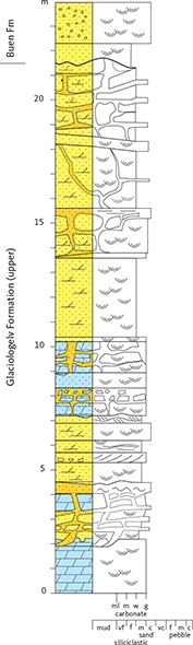 Fig. 12 Reference section of the Glaciologelv Formation on the southern bank of the Glaciologelv river, south of Jørgen Brønlund Fjord (Fig. 1b, locality 3). This section illustrates the uppermost levels of the formation (generally poorly exposed or inaccessible in the Midsommersø sections) and details of the irregular karstified unconformity with the Buen Formation. Lithology/grain-size abbreviations: carbonate: ml: marlstone. m: lime mudstone. w: wackestone. g: grainstone. Siliciclastic: vf: very fine. f: fine. m: medium. c: coarse. vc: very coarse. For legend, see Fig. 6.