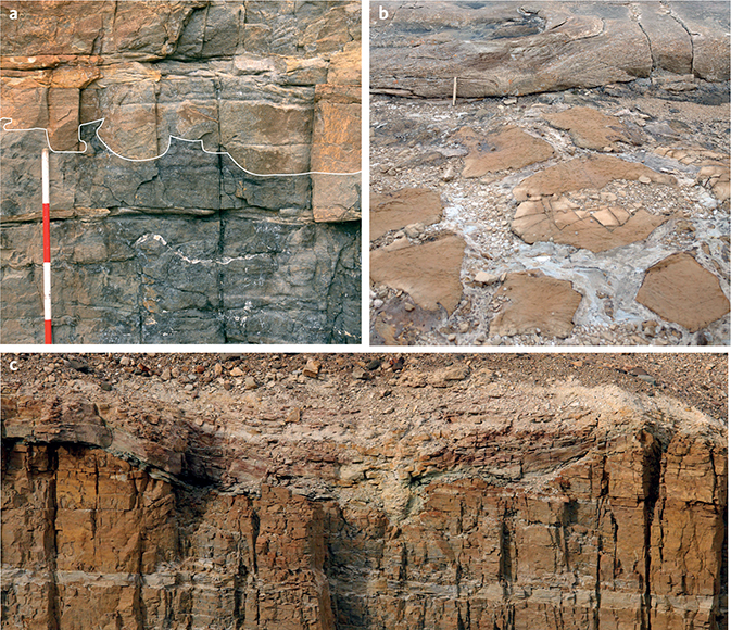 Fig. 14 Upper Glaciologelv Formation. a: Surficial karstic surface (karren) at the boundary between the cross-bedded dolostones of the middle Glaciologelv Formation and the overlying dolomitic sandstones; pedestals and scalloped depressions on the surface are outlined. Staff divisions are 20 cm; Glaciologelv reference section, 2 m (Fig. 12). b: Pale intrusive sandstones separating polygonal blocks of orange-brown dolomitic sandstone. Measuring stick (20 cm), top left, for scale; Glaciologelv reference section, 10 m (Fig. 12). c: Irregular reddened upper boundary of the Glaciologelv Formation draped by pale sandstones of the Buen Formation. Estimated up to 5 m relief on the surface at this locality. Glaciologelv reference section, 21.5 m (Fig. 12).