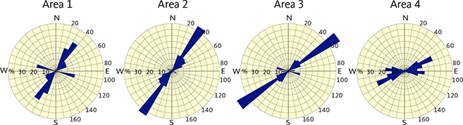 Fig. 9 Rose diagrams for Areas 1, 2, 3 and 4 demonstrating gradual clockwise change in orientation of the NNE dykes towards the ‘typical’ Nagssugtoqidian ENE trend. Location of Areas 1–4 shown in Fig. 8. Within each area, azimuths of dykes are grouped in 10-degree bins and lengths of dykes are summed and represented as percentages of cumulative length.