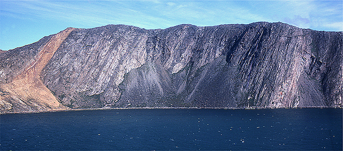 Fig. 24 Panel of rusty weathering metasediments (graphite- and sulphide-bearing) interleaved with gneisses containing deformed Kangâmiut dykes parallel with the Nagssugtoqidian fabric of the gneisses. View towards the east, height of cliff c. 400 m, full width of exposure 1.3 km. Location in Fig. 3.